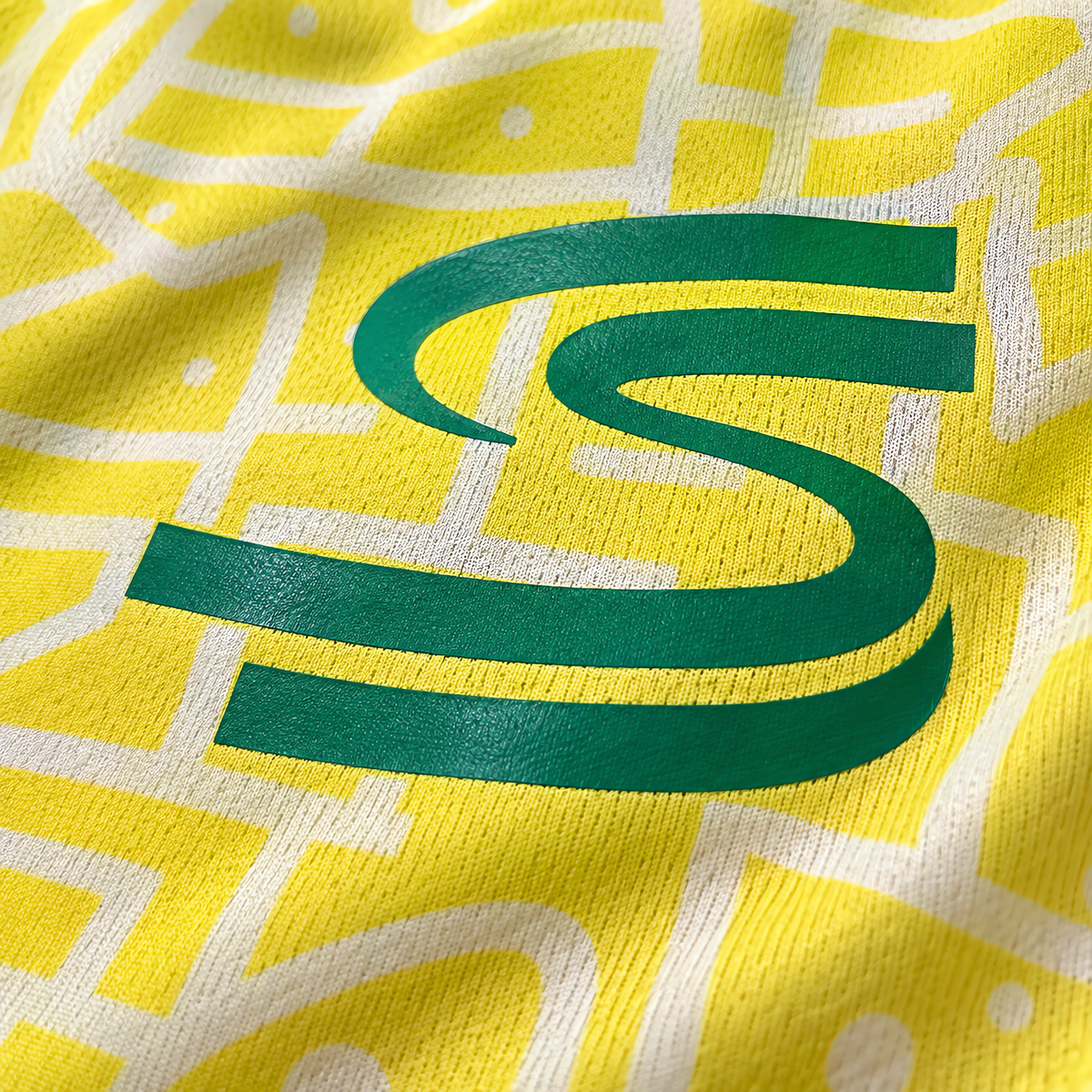 Ayrton Senna x Brazil